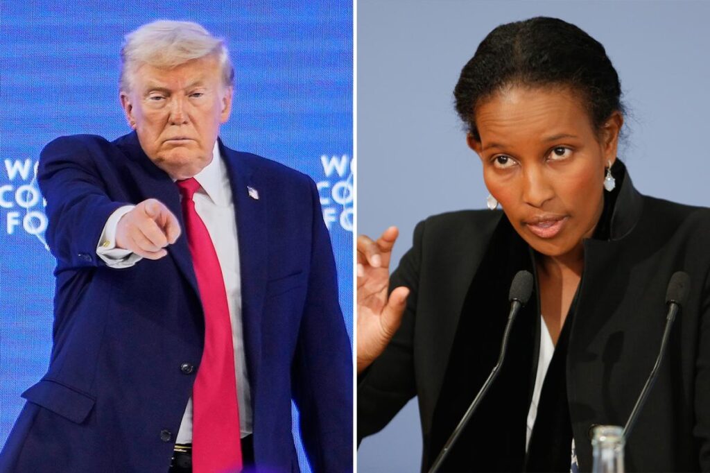 Somali-born activist praises Trump’s stark warning at Davos speech: ‘Priority No. 1’ Somali-born activist praises Trump’s stark warning at Davos speech: ‘Priority No. 1’