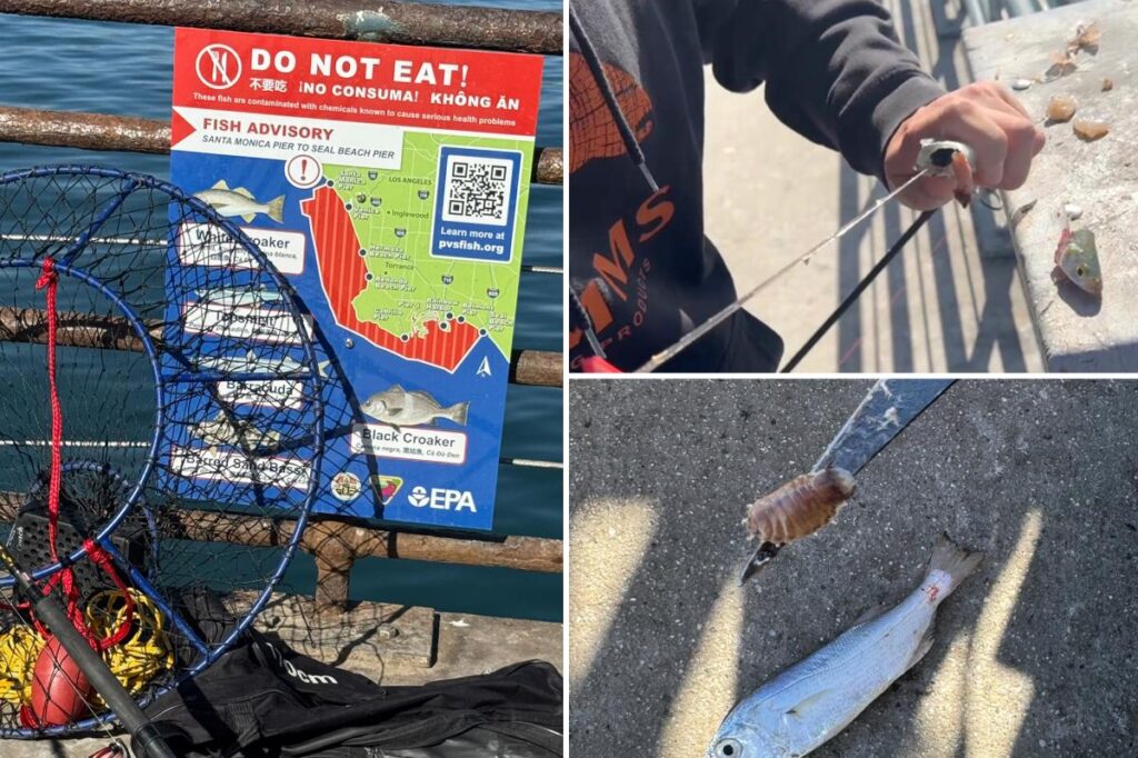 Tourists splash in the poop-filled waters of Santa Monica Pier, despite germs and chemicals at one of Cali’s grossest beaches Tourists splash in the poop-filled waters of Santa Monica Pier, despite germs and chemicals at one of Cali’s grossest beaches