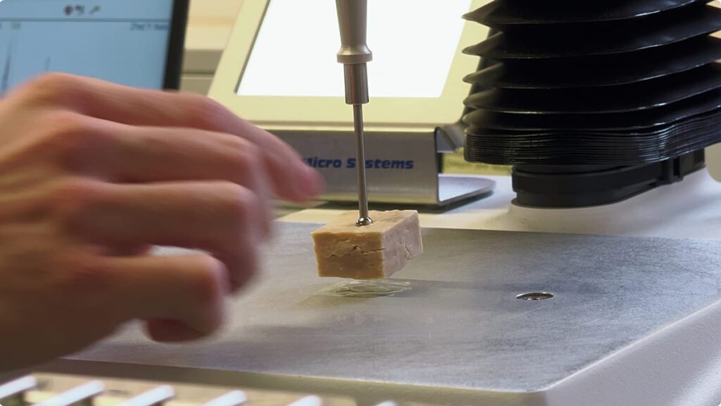 Lab-grown proteins for a hungry world – made in Europe