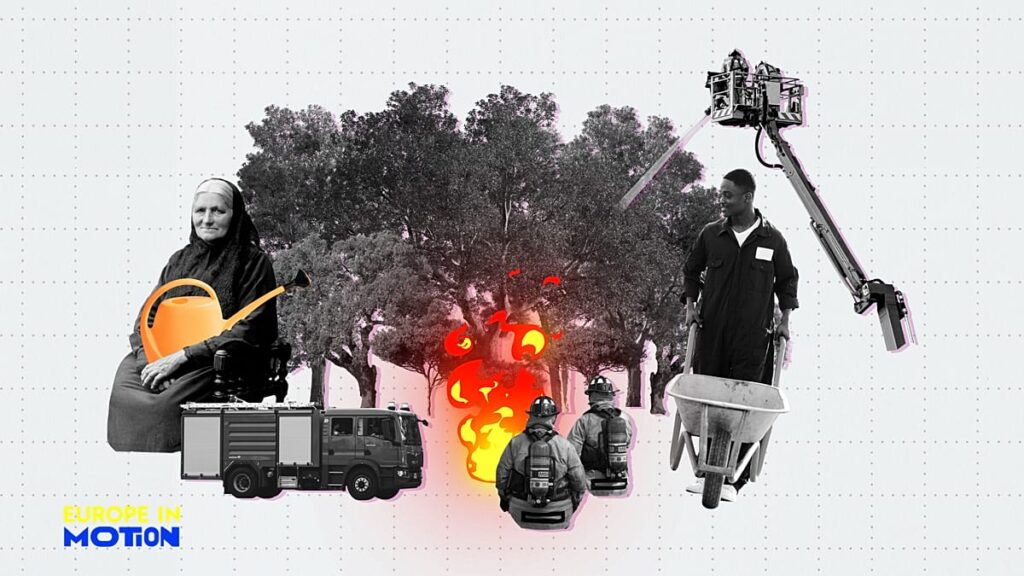 Where are Europe’s forests growing fastest? Where are Europe’s forests growing fastest?