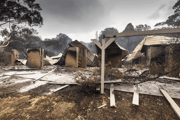 Scenes from the Longwood fire.