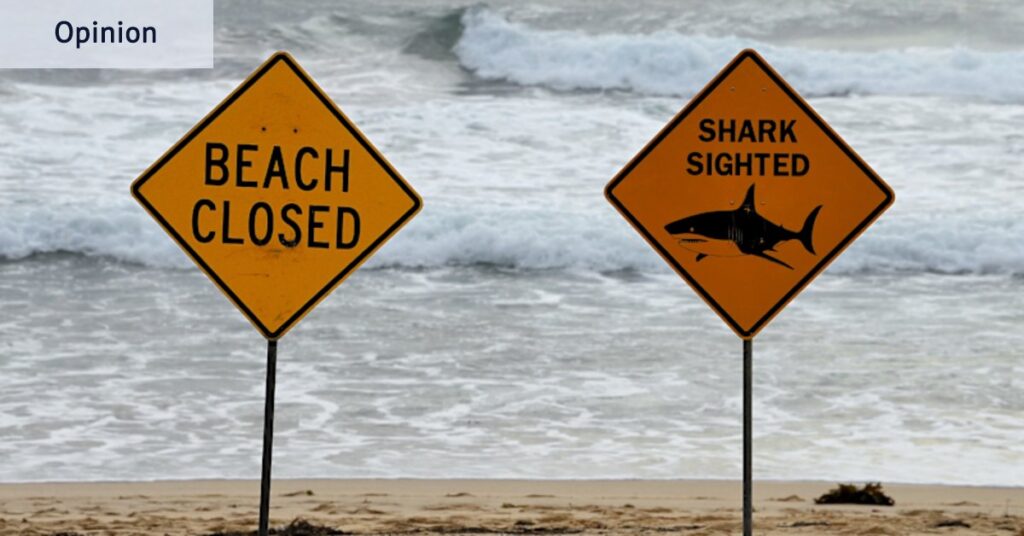 In Sydney, the evidence is clear. After heavy rain, it’s not safe to go back in the water