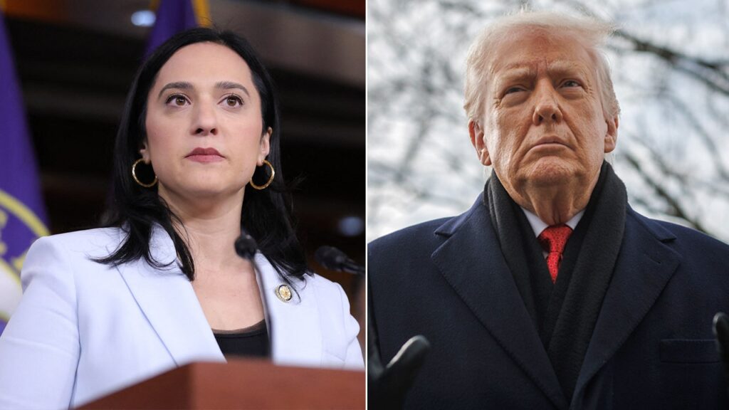 House Democrat calls Trump ‘extremely mentally ill’ after Greenland remarks, urges 25th Amendment removal