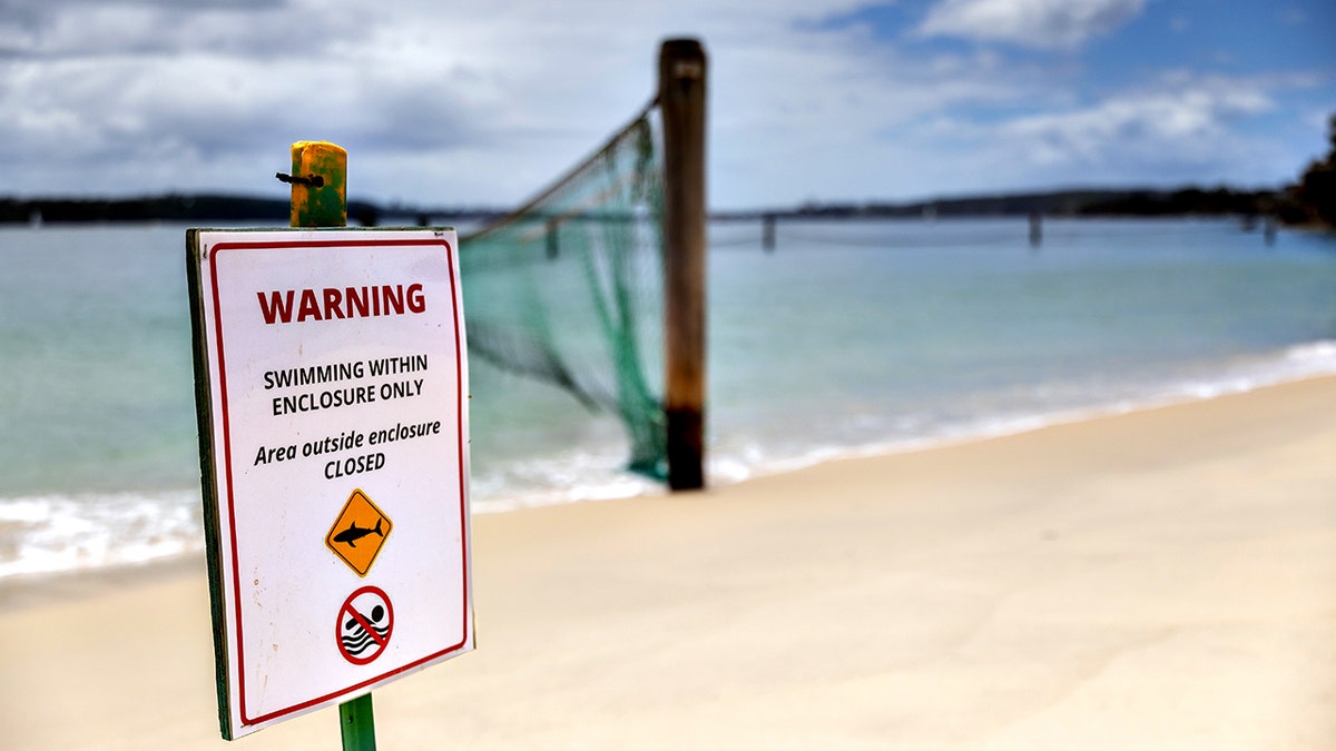 Sydney Harbour shark netting on beach