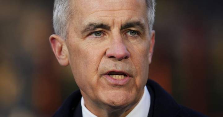 Carney says Canada’s values ‘must be fought for’ amid ‘democratic decline’ Carney says Canada’s values ‘must be fought for’ amid ‘democratic decline’