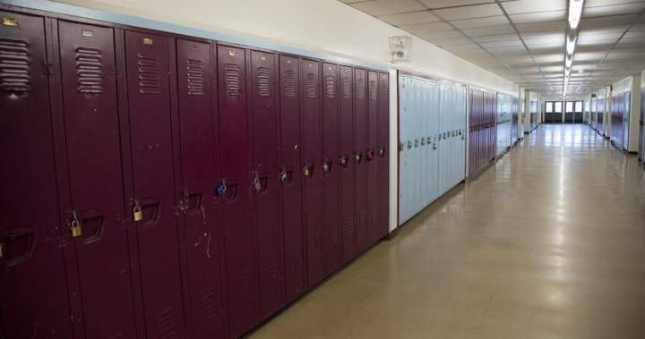 Manitoba teacher disciplined after investigation reveals he ‘mimicked’ crying student Manitoba teacher disciplined after investigation reveals he ‘mimicked’ crying student