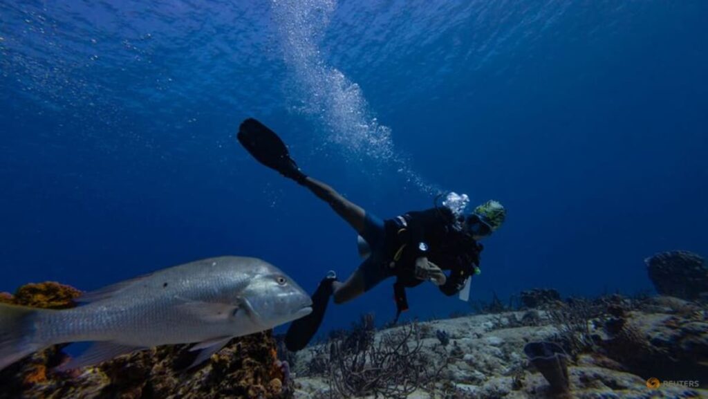 High Seas Treaty: Why Southeast Asia can’t ignore the new rulebook for the deep blue