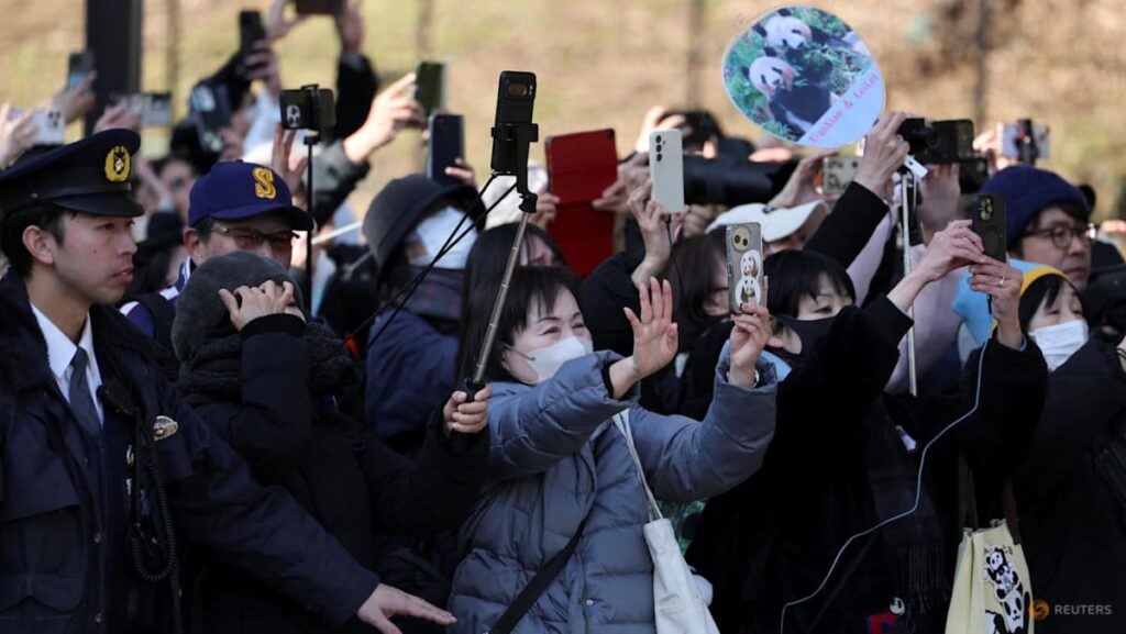 Japan’s beloved last pandas leave for China as ties fray