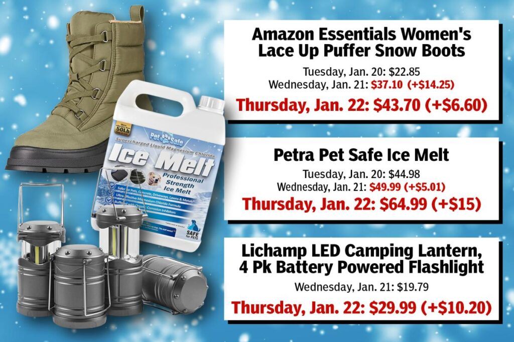 Exclusive | The Post exposes price gougers targeting shoppers ahead of Winter Storm Fern