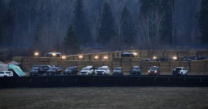 B.C. ostrich cull cost almost million B.C. ostrich cull cost almost million