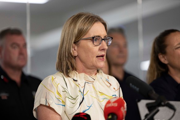 Premier Jacinta Allan speaking on Saturday.