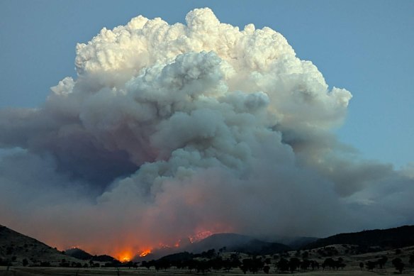 Enormous plumes of smoke above the Walwa bushfire.