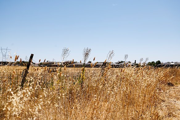 The City of Melton has recorded a spike in residents asking for help to clear tumbleweeds this summer as hot winds blow grass from overgrown paddocks onto neighbouring homes.