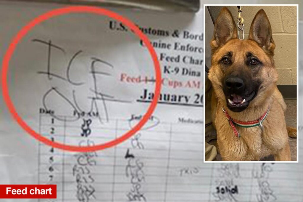 Minneapolis dog kennel worker scribbles anti-ICE message on Border Patrol K-9’s feed chart: DHS