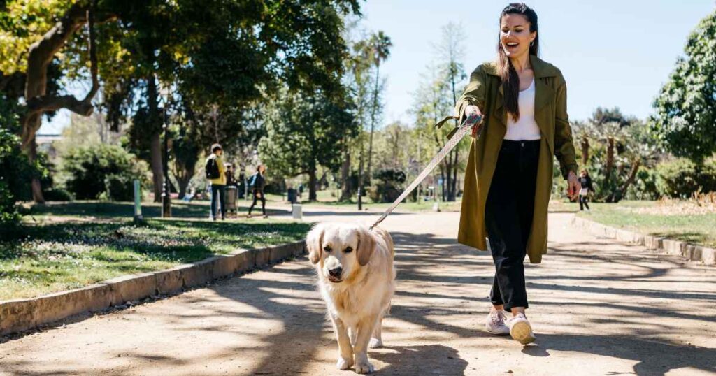 Boost Your Dog’s Energy, Digestion and Mobility With This Vet-Formulated Multivitamin