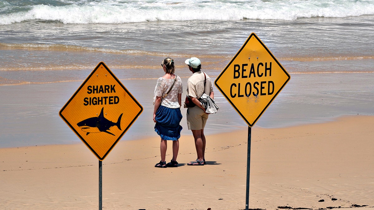 couple looking out to sea on beach near shark sighting signs