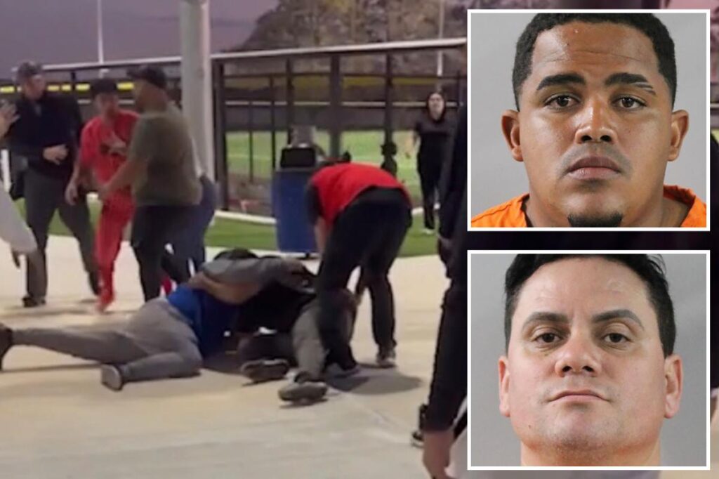 ‘Bench-clearing brawl’ breaks out at Florida baseball game after irate parent sucker punches umpire’s father: video