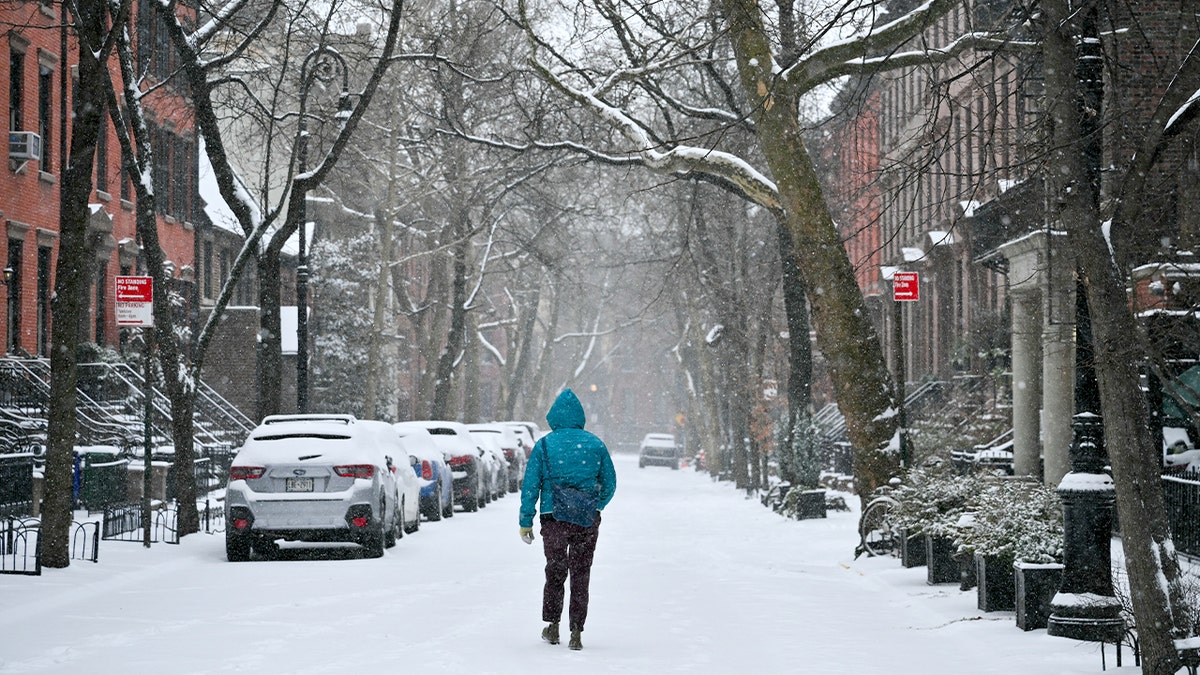 A lone pedestrian walks along a snow-covered residential street during a winter storm.