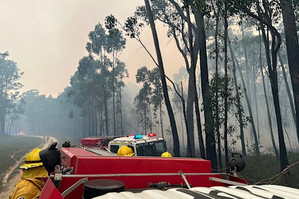 Firefighters at the edge of the Otways bushfire. 
