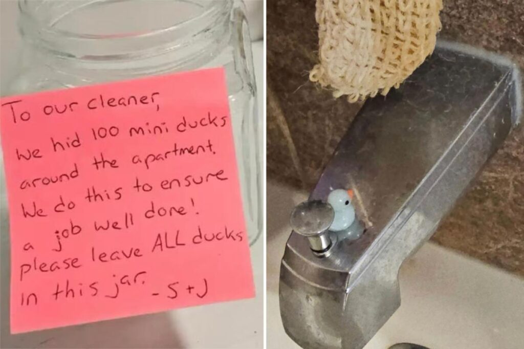 ‘Humiliated’ cleaner quits after bosses run bizarre task to test her work ethic