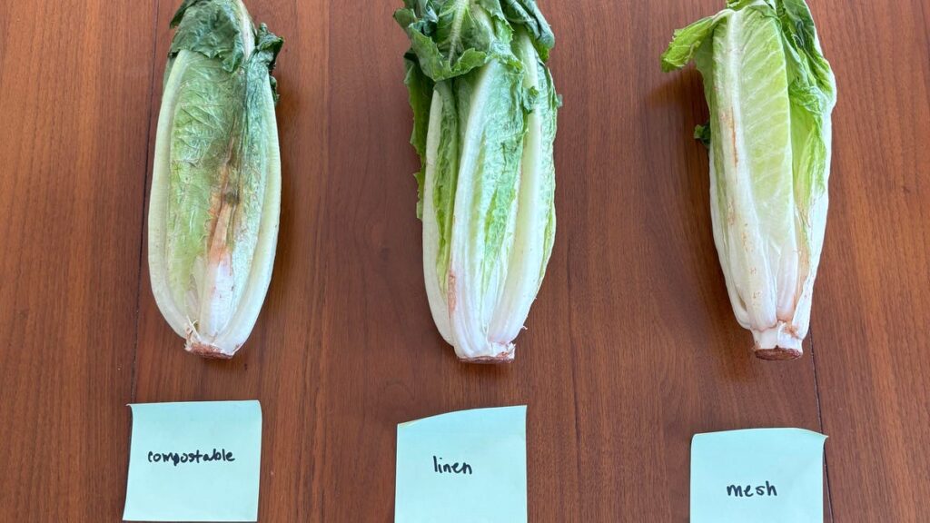 Are You Planning to Use Produce Bags? I Tested 3 to See if They Actually Work Are You Planning to Use Produce Bags? I Tested 3 to See if They Actually Work