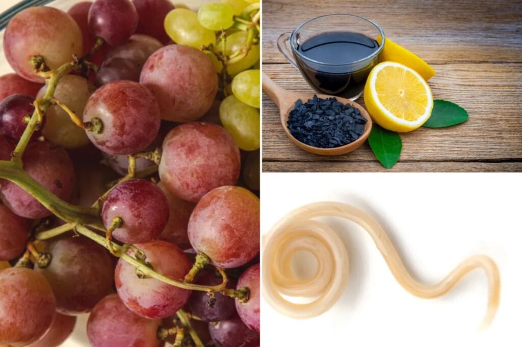 The worst cleanses and fasts throughout history — one required a parasite to hatch in the intestines