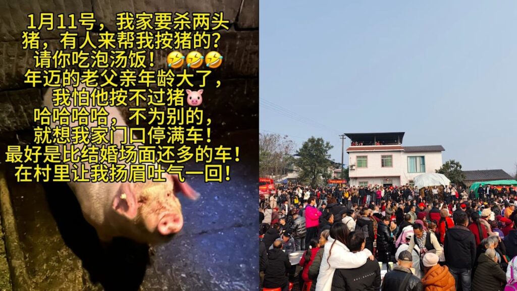 She asked the internet for help with slaughtering two pigs. Thousands turned up in support