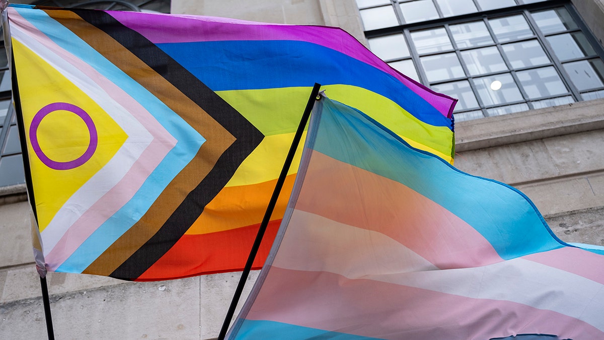 Intersex and trans pride flags