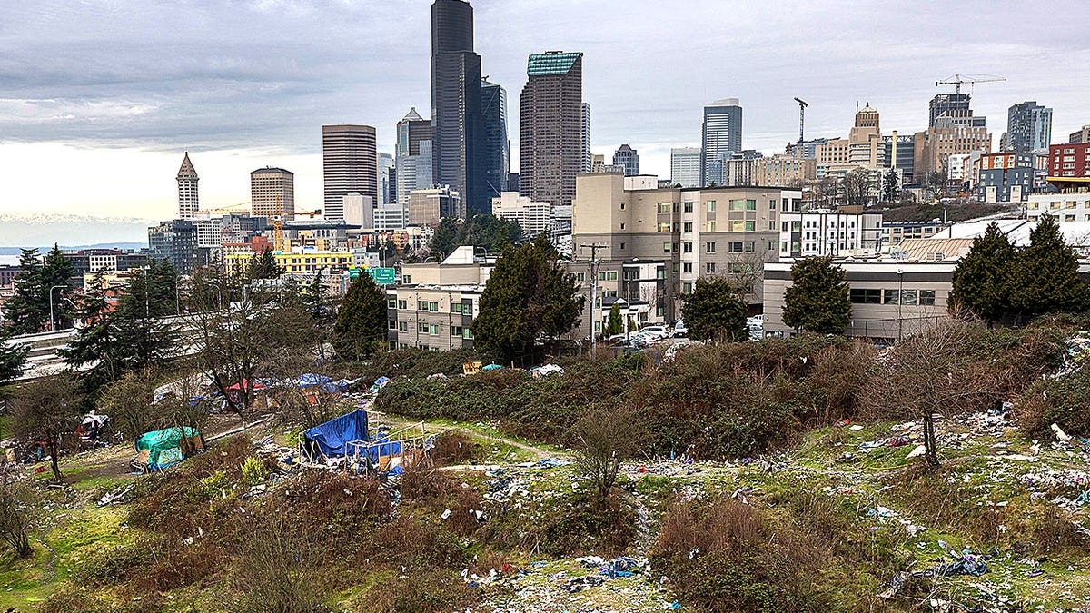 Seattle skyline homeless encampments and trash.