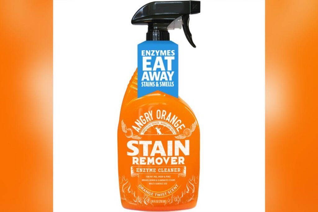 More than 1.5 million bottles of popular stain remover recalled for bacteria risk More than 1.5 million bottles of popular stain remover recalled for bacteria risk