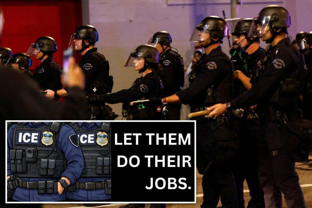 Exclusive | Pro-ICE billboards calling out ‘liberal hypocrisy’ go up in swing states: ‘Let them do their jobs’