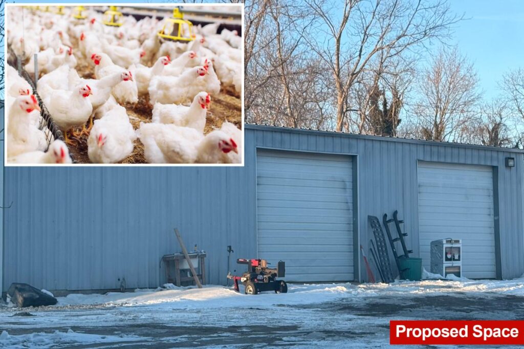 Long Islanders cry fowl on plan to build farm with 6K chickens next door: ‘I’ll move’