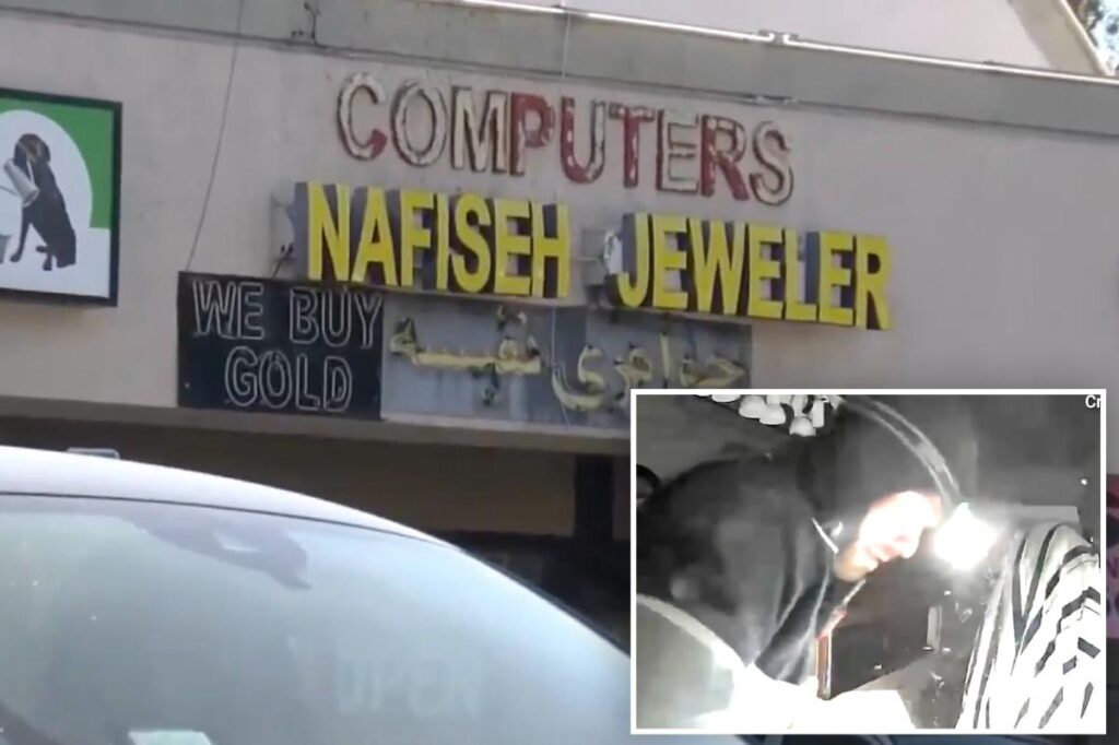 Video shows brazen thief break into jewelry store and make off with 0K in gems in minutes