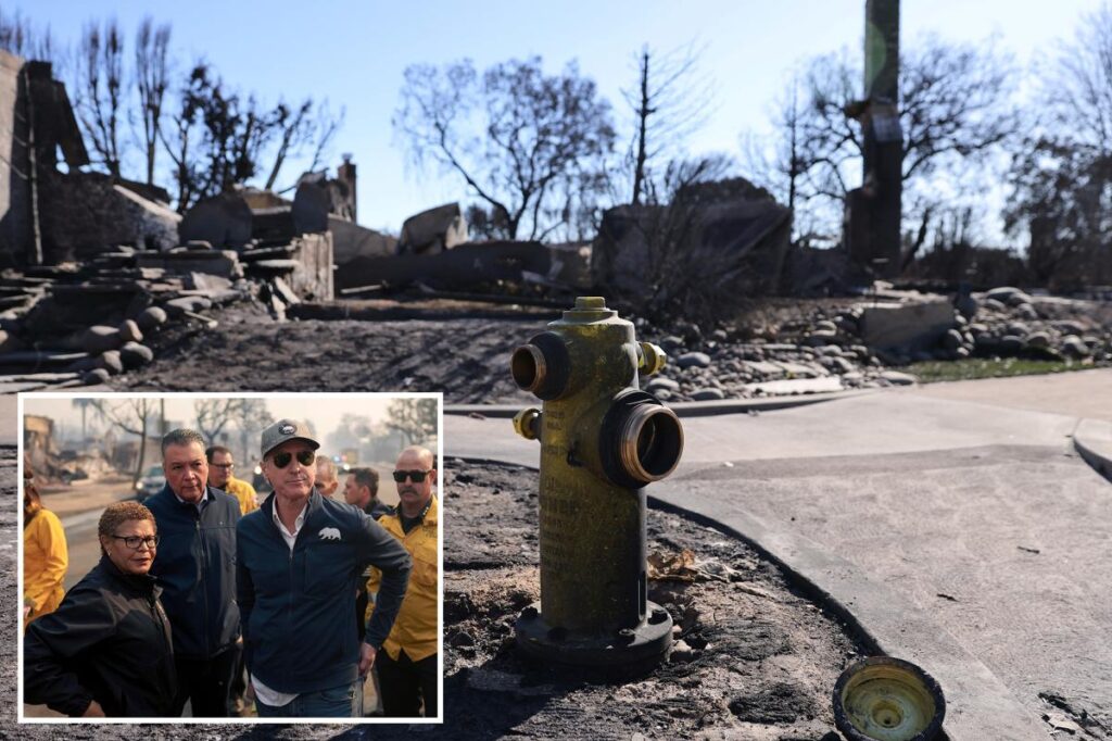 Exclusive | Judge clears way for mega lawsuit blaming LA and California for deadly Palisades Fire