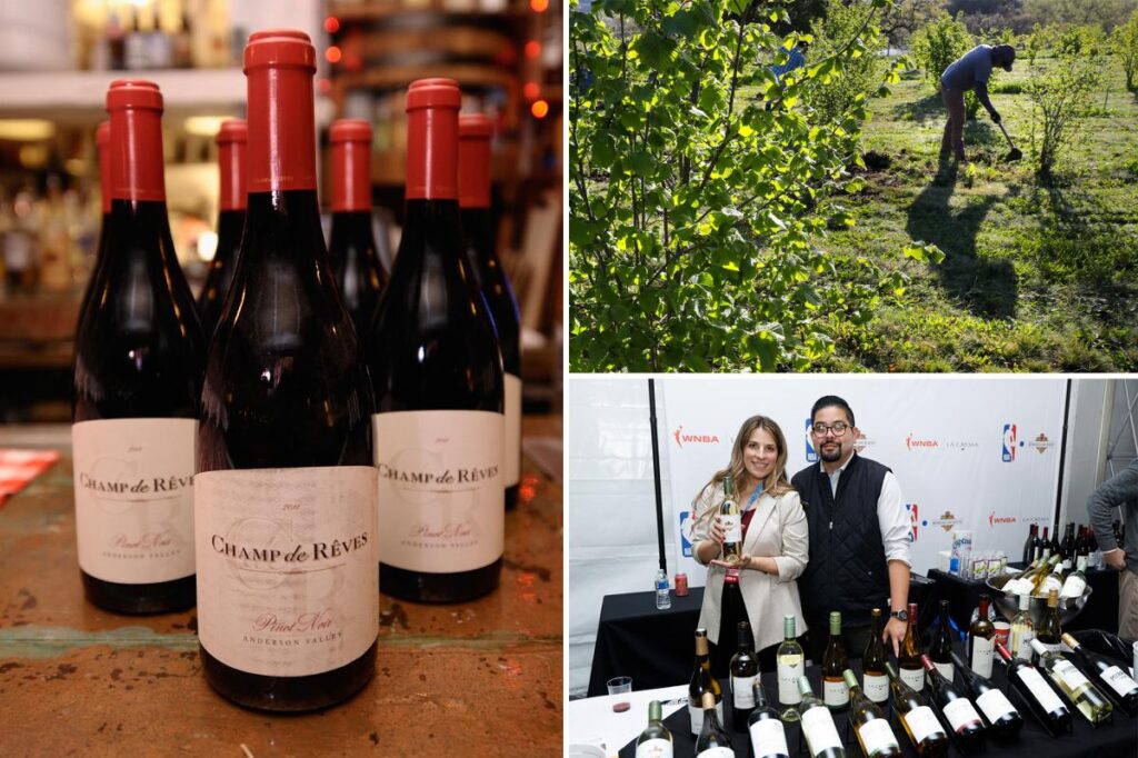 Another California wine giant shuts site and axes staff as chaos rips across Napa Valley Another California wine giant shuts site and axes staff as chaos rips across Napa Valley