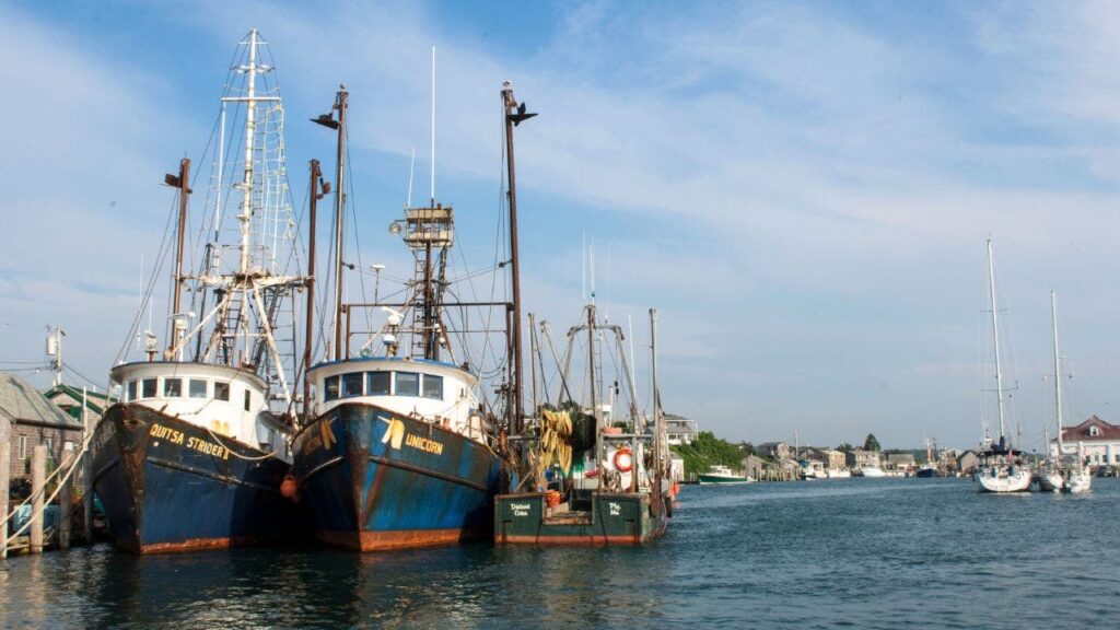 Trump vows to ‘unleash’ commercial fishing off New England, reversing Obama-era Atlantic restrictions