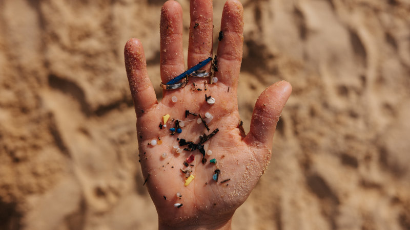 Away from the headlines, microplastics field grapples with tricky questions Away from the headlines, microplastics field grapples with tricky questions
