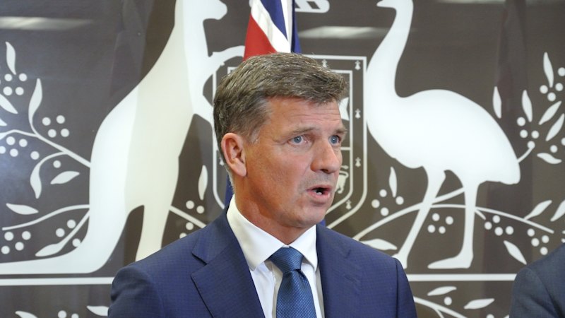 Must we be cruel to ISIS brides to be kind to our MPs’ margins? Must we be cruel to ISIS brides to be kind to our MPs’ margins?