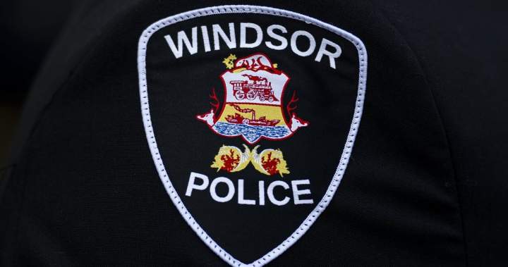 One person injured, dog dead after suspected arson at Windsor, Ont., home One person injured, dog dead after suspected arson at Windsor, Ont., home