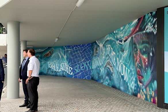 The aquatic-themed mural at Brisbane’s Riverwalk took just three days to complete.