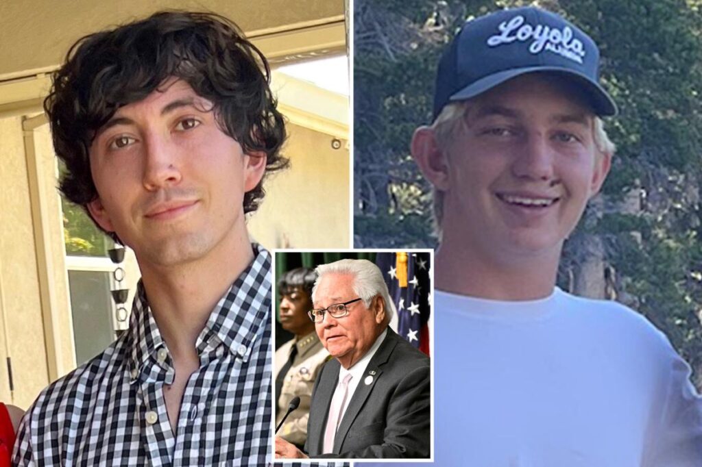 Cops, grieving parents, blast California’s soft drink driving laws, LA lawmakers after horror crashes