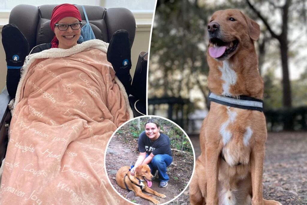 Pet owner says dog saved her life by detecting her breast cancer Pet owner says dog saved her life by detecting her breast cancer