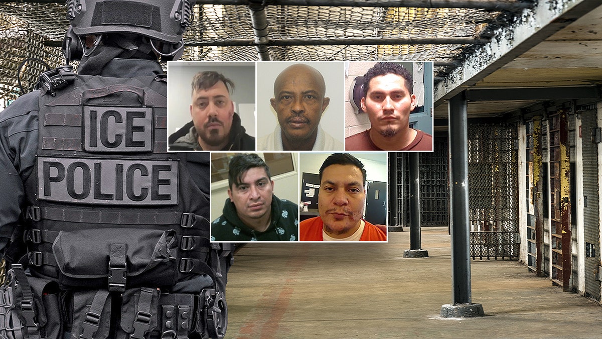 Mugshots of criminal illegal aliens who ICE agitators have tried to protect from being arrested