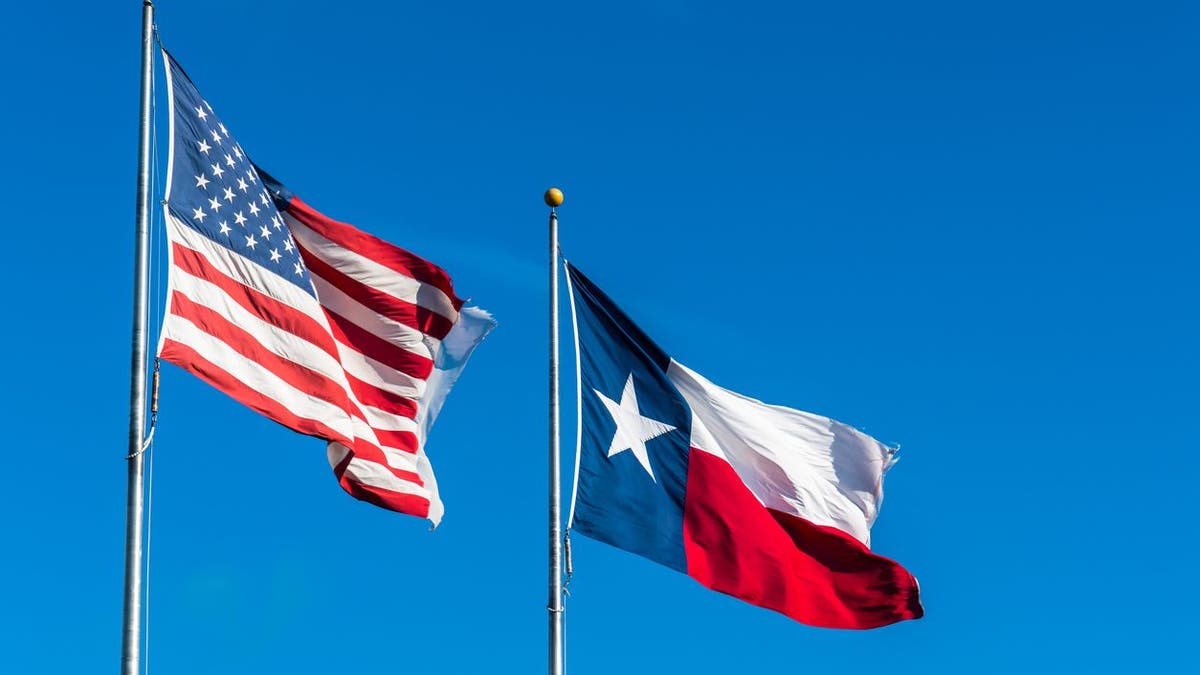 Texas and US flags