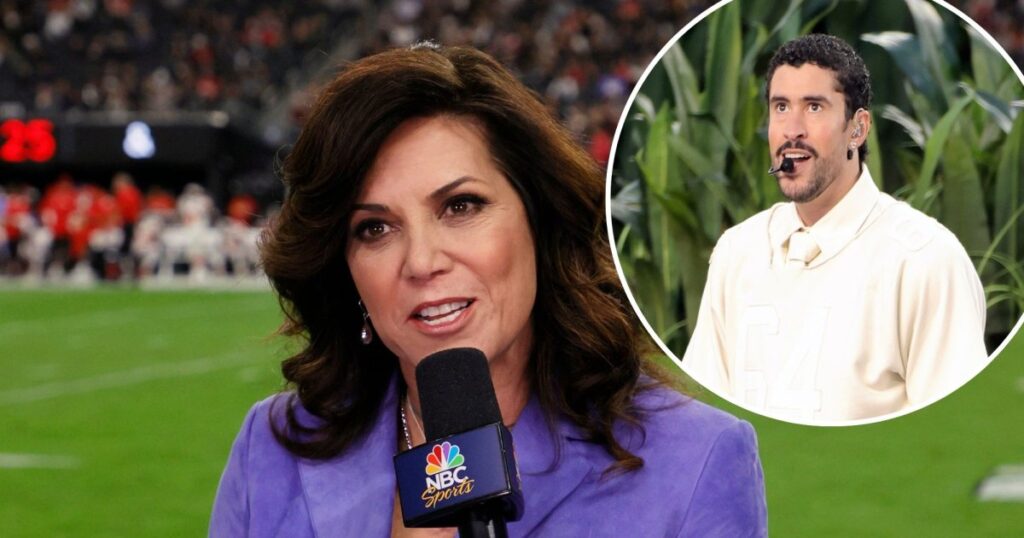 Former NFL Sideline Reporter Michele Tafoya Opts for Laundry Over Bad Bunny Super Bowl Halftime Show