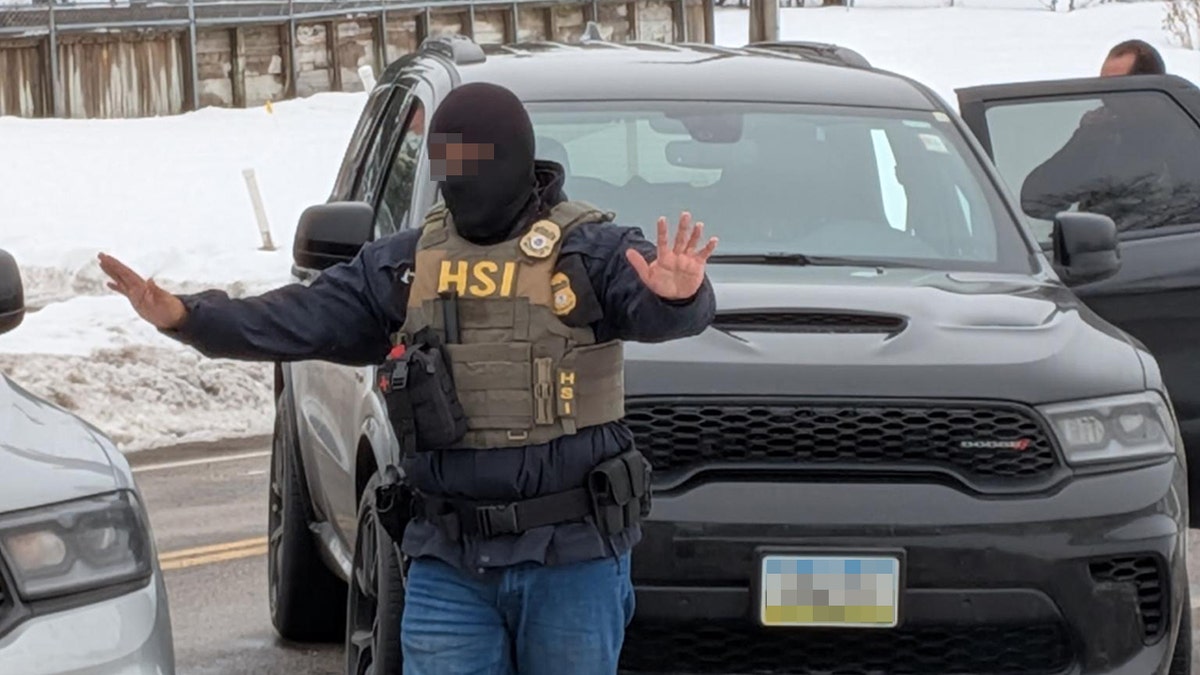 MN ICE Plates database homeland security investigations