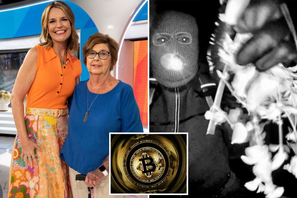 Third Nancy Guthrie ransom note sent to TMZ, including demand for bitcoin in exchange for information: report