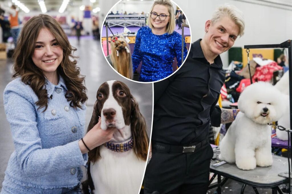 Stressed-out owners, pooches get glam: As Westminster’s winner is crowned, The Post goes behind the scenes for the real action