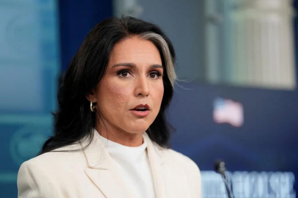 Tulsi Gabbard denies wrongdoing over delayed whistleblower complaint referral to Congress members: ‘Baseless’