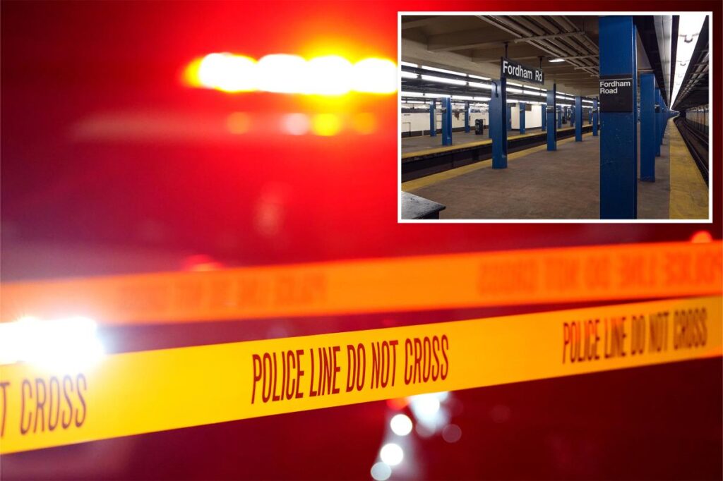 NYPD cop clocked in the head by stabbing suspect during botched arrest at NYC subway station
